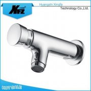 Self-closing Basin Short Wall Mounted Faucet